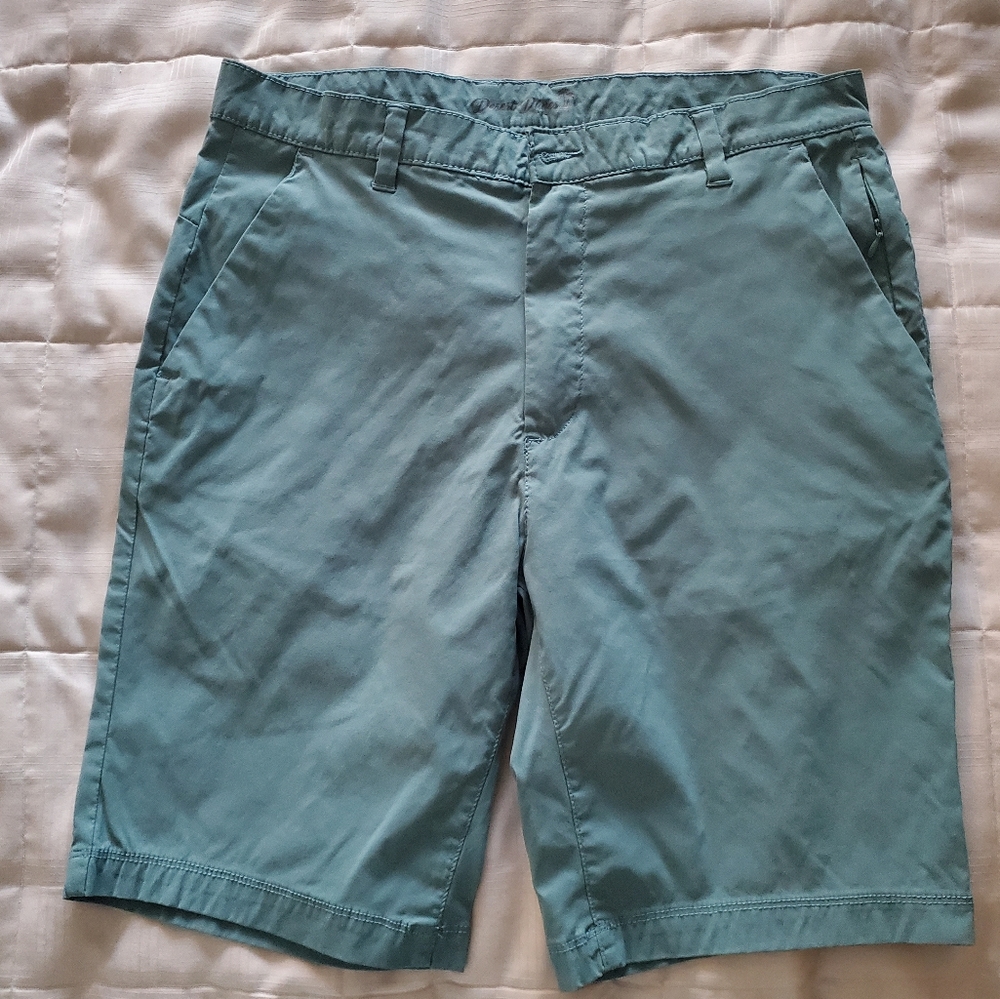 DESERT DUNES Mens Seafoam Green Golf Short Size 34